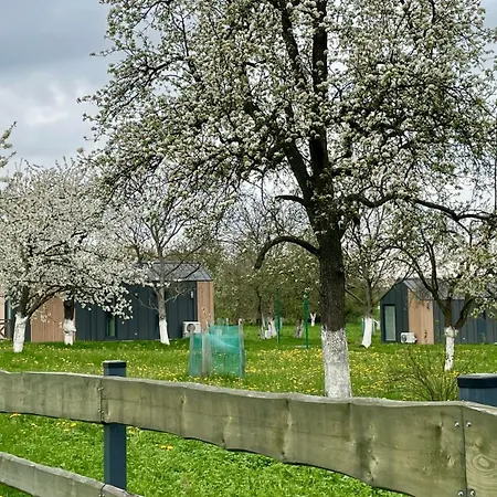 Princess Sleza * Sady (Swidnica)