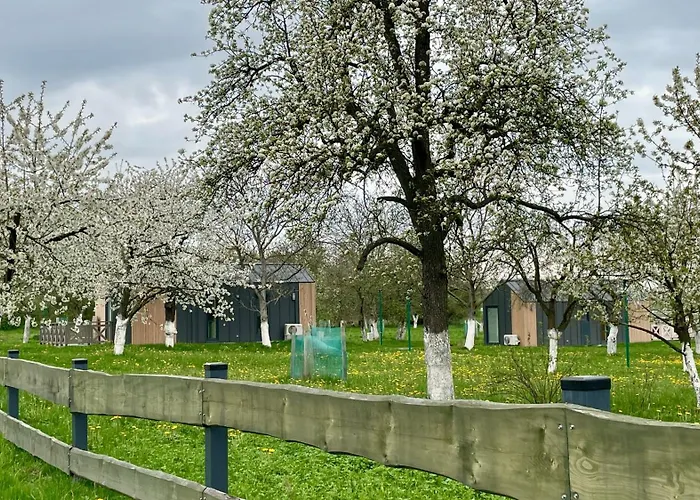 Princess Sleza * Sady (Swidnica)